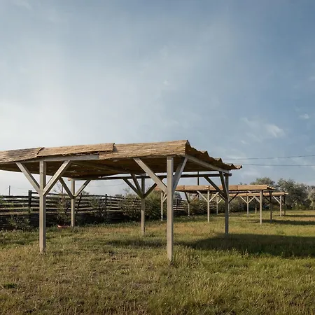 Dolphin Camping Sfântu Gheorghe