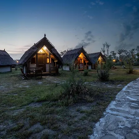 Dolphin Camping 3*