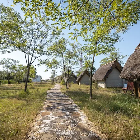 Dolphin 3* Sfântu Gheorghe