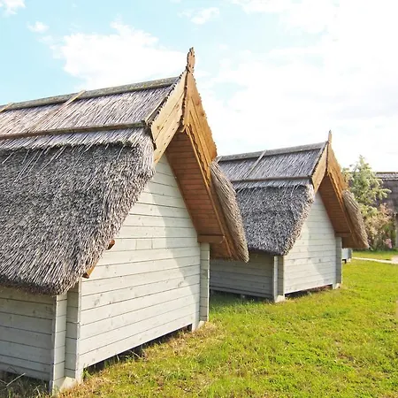 Dolphin Sfântu Gheorghe