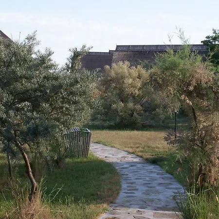 Dolphin 3* Sfântu Gheorghe