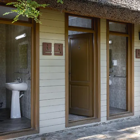 Dolphin Sfântu Gheorghe