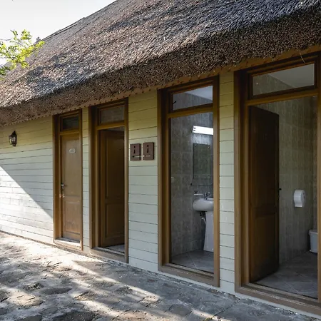 Dolphin Sfântu Gheorghe