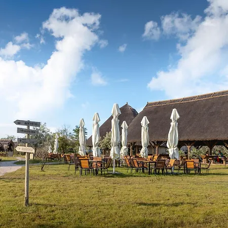 Dolphin 3* Sfântu Gheorghe