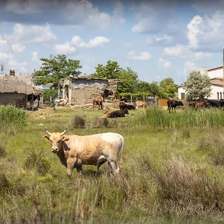 Parque de Campismo Dolphin 3*