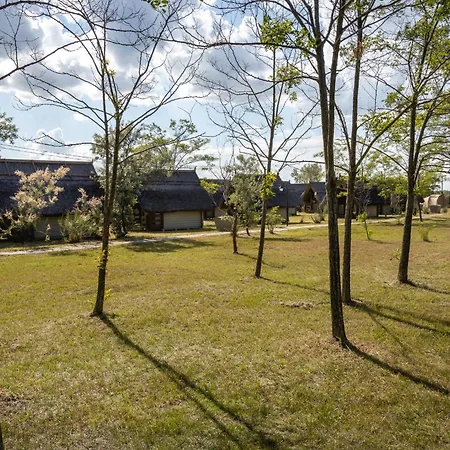 Dolphin Parque de Campismo