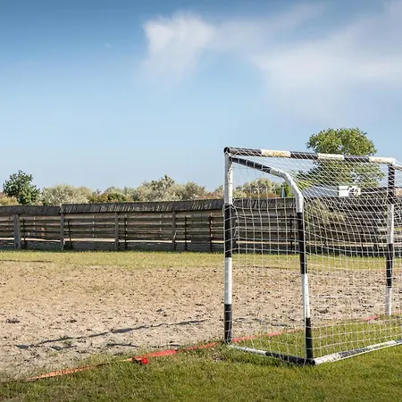 Dolphin Sfântu Gheorghe