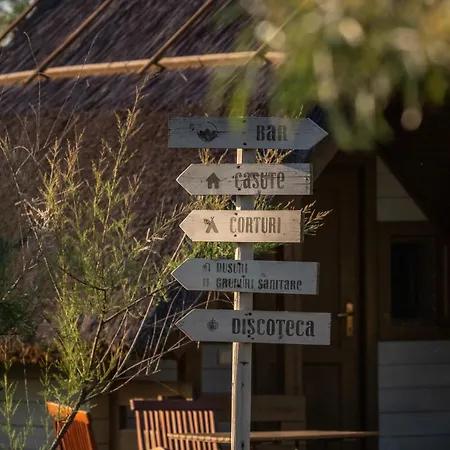 Dolphin Sfântu Gheorghe