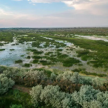 Dolphin Camping Sfântu Gheorghe
