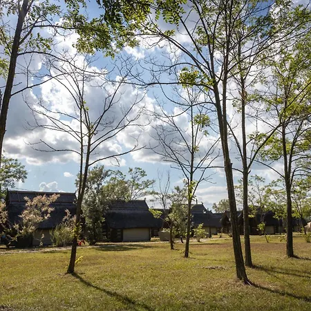 Parque de Campismo Dolphin 3*