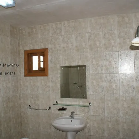 Dolphin Sfântu Gheorghe