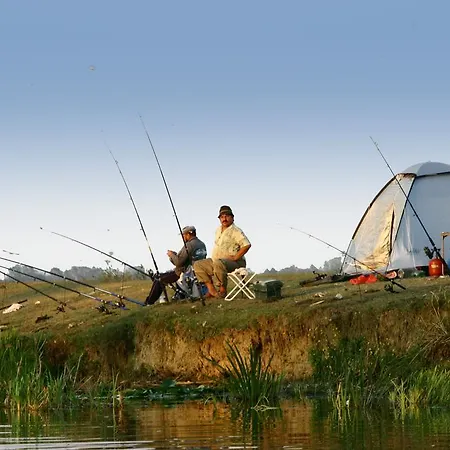 Dolphin Sfântu Gheorghe