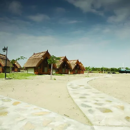 Dolphin Sfântu Gheorghe