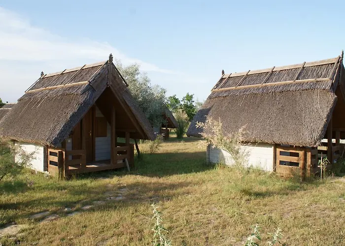 Dolphin Campingplads