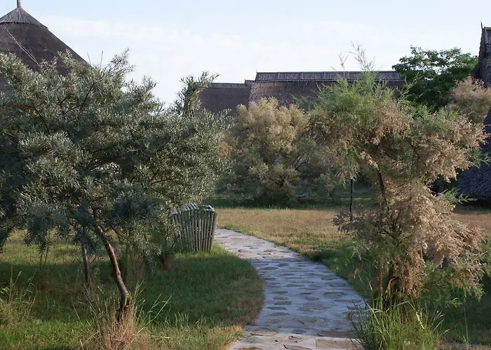 Dolphin 3* Sfântu Gheorghe