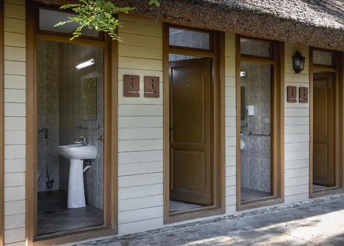 Dolphin Sfântu Gheorghe