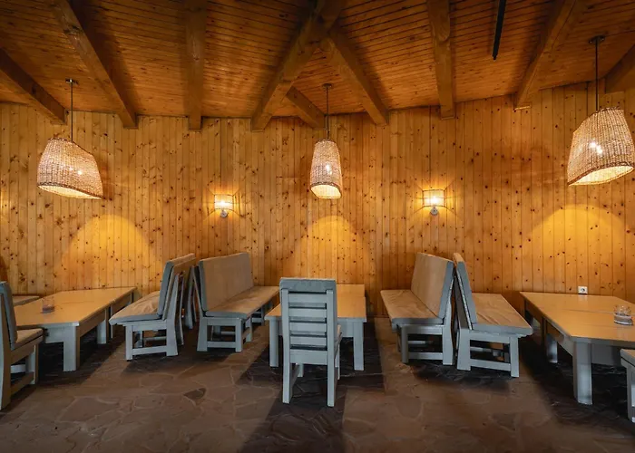 Dolphin Sfântu Gheorghe