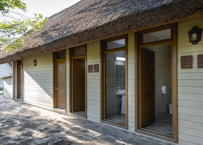 Dolphin Sfântu Gheorghe