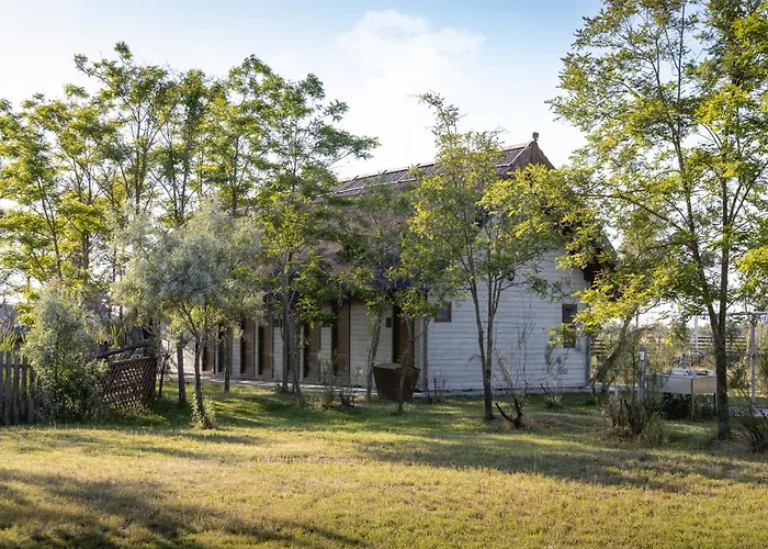 Dolphin Campingplads