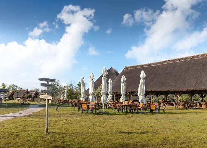 Dolphin 3* Sfântu Gheorghe