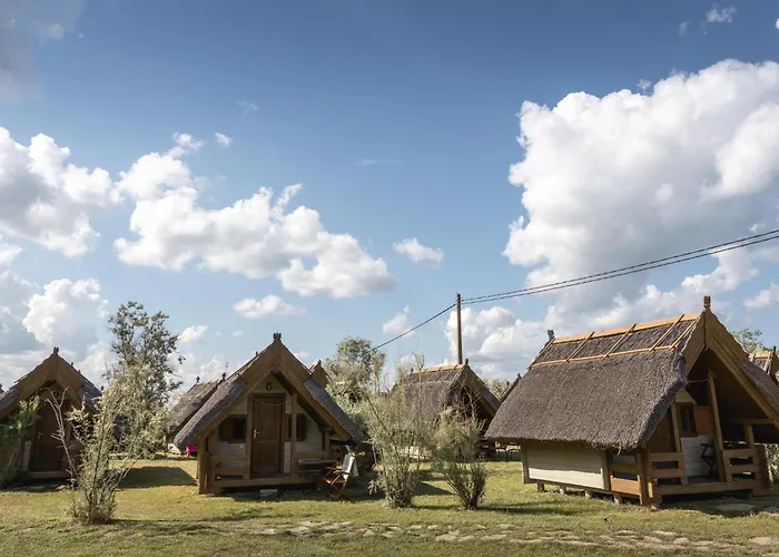 Campingplads Dolphin