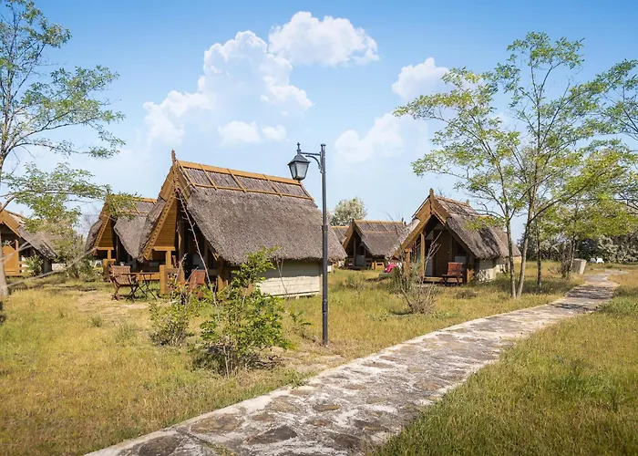 Dolphin Campingplads