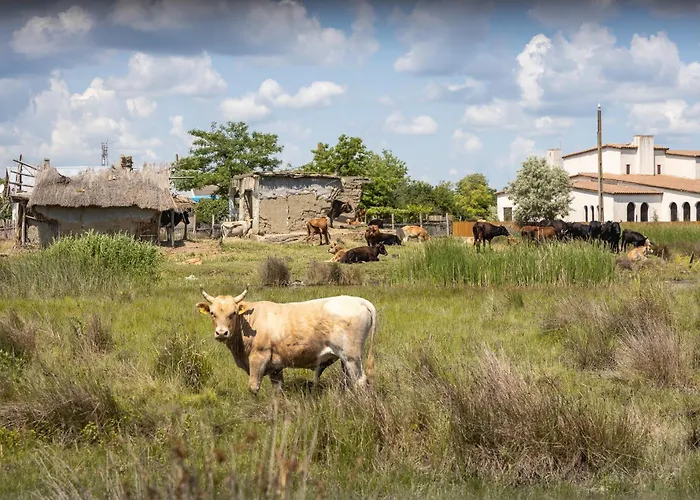 Campingplads Dolphin 3*