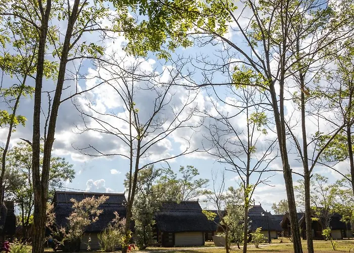 Campingplads Dolphin