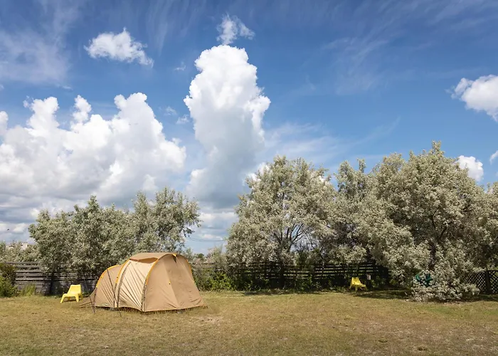 Dolphin Campingplads Sfântu Gheorghe