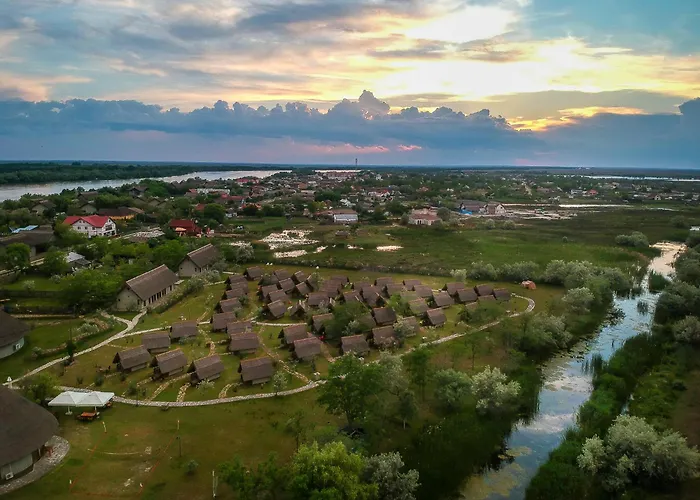 Dolphin Sfântu Gheorghe