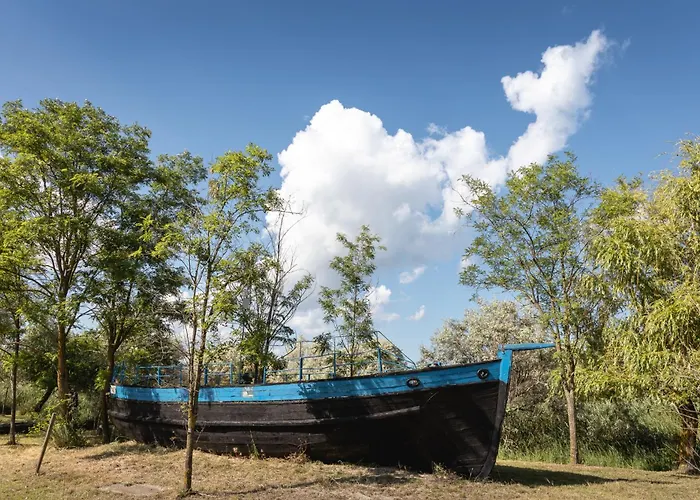 Campingplads Dolphin 3*