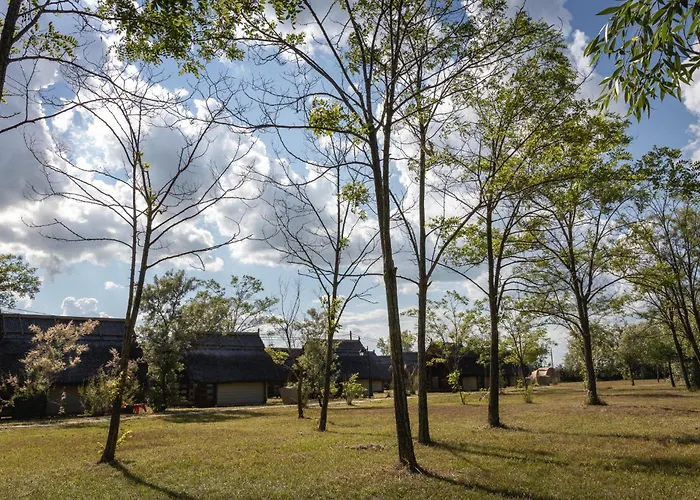 Dolphin Campingplads Sfântu Gheorghe