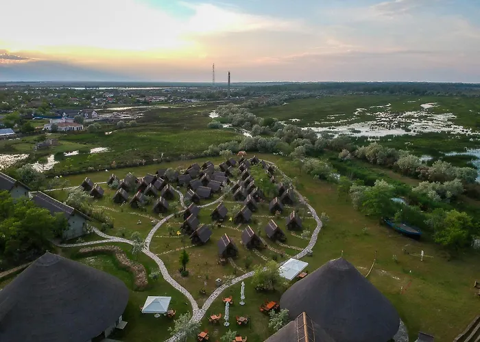 Dolphin Sfântu Gheorghe