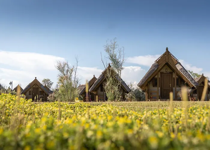 Dolphin Campingplads