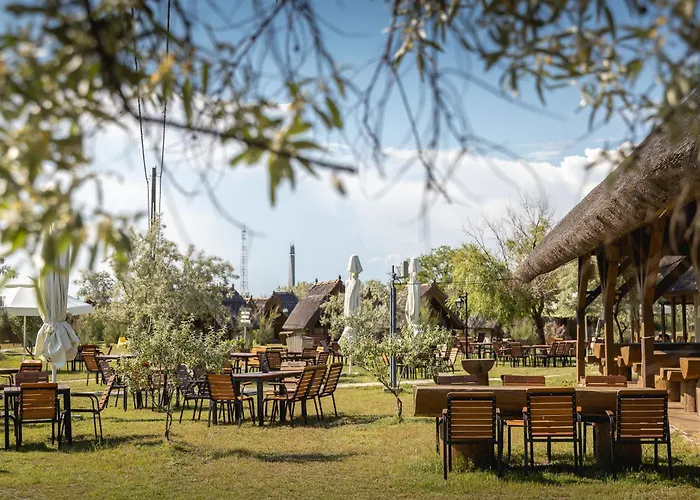 Dolphin Sfântu Gheorghe