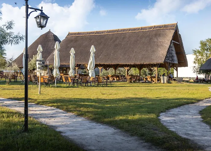 Dolphin 3* Sfântu Gheorghe