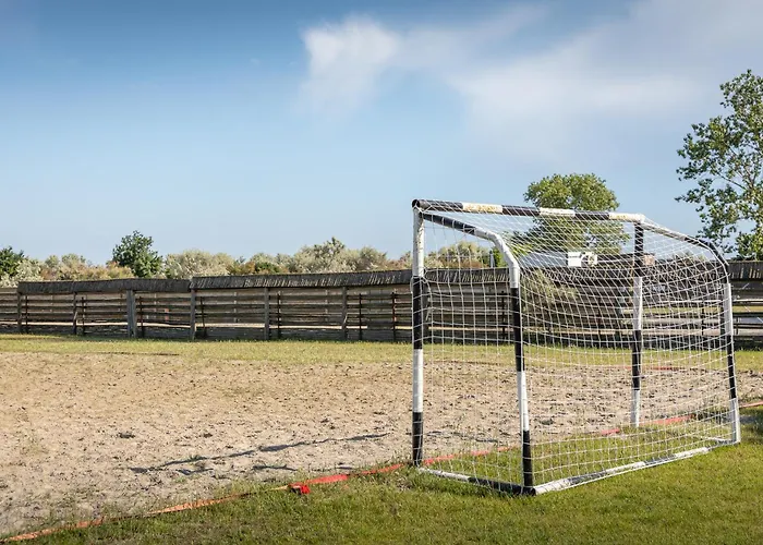 Dolphin Sfântu Gheorghe