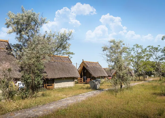 Dolphin Campingplads 3*