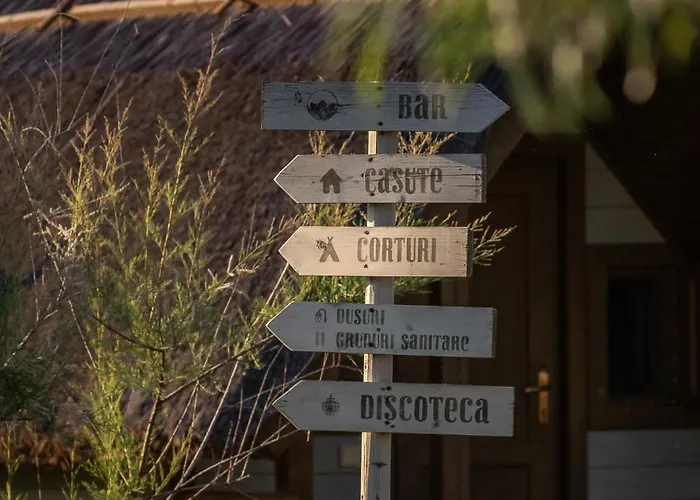 Dolphin Sfântu Gheorghe