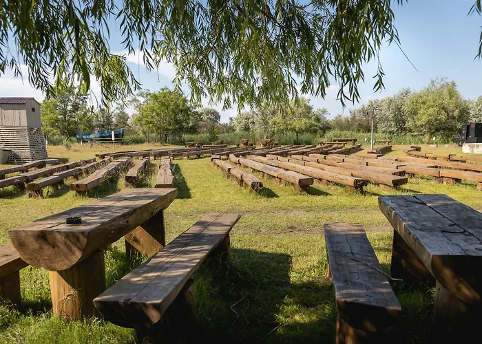 Dolphin Campingplads