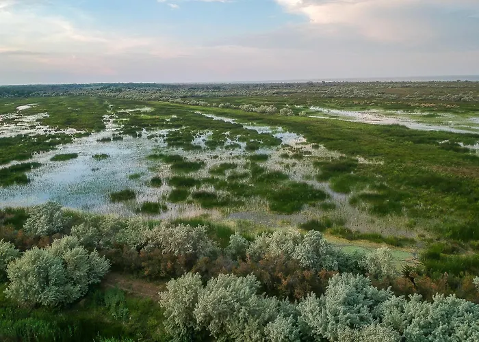 Dolphin Campingplads Sfântu Gheorghe