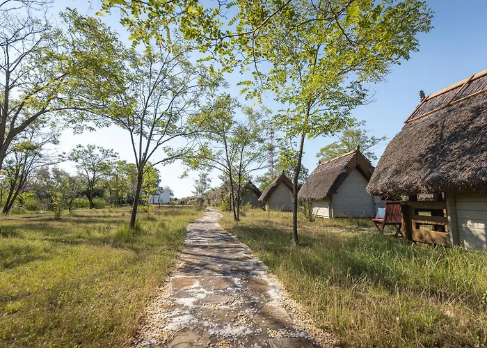 Dolphin 3* Sfântu Gheorghe