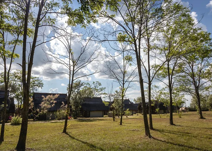 Campingplads Dolphin 3*