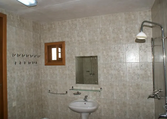 Dolphin Sfântu Gheorghe