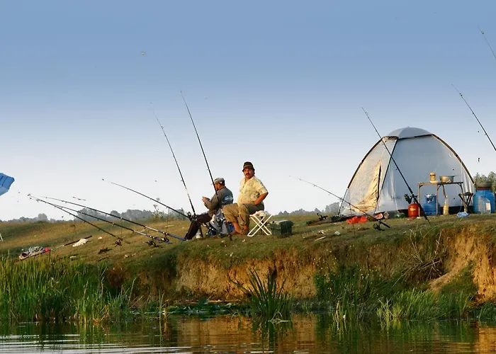 Dolphin Sfântu Gheorghe