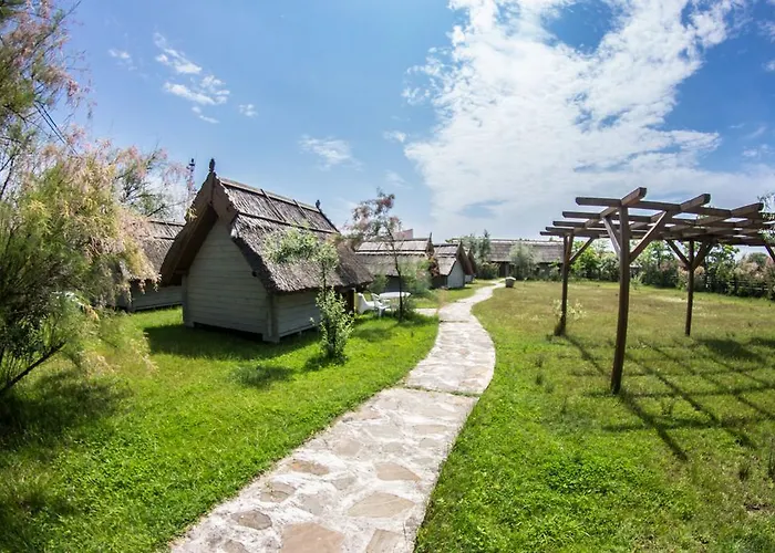 Dolphin Campingplads